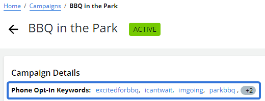 A Campaign's keywords can be seen on the Campaign Details page.