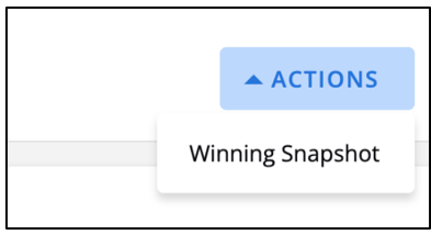 Winning snapshot