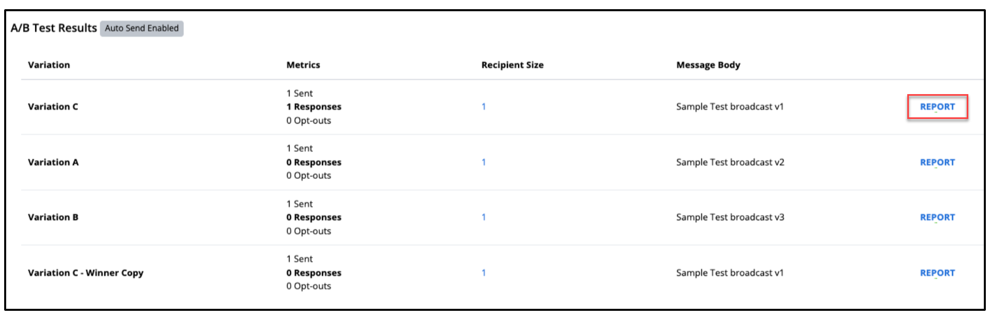 Report